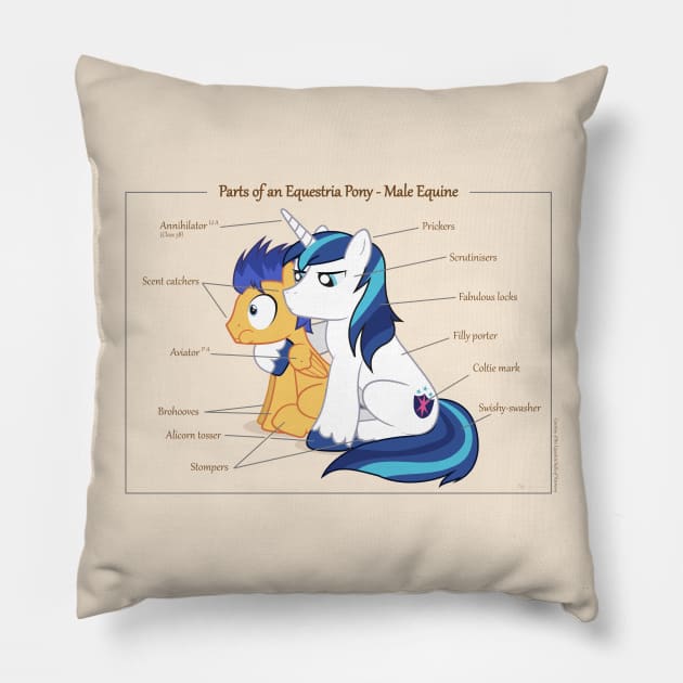 Pony Anatomy - Male Equine Pillow by judacris