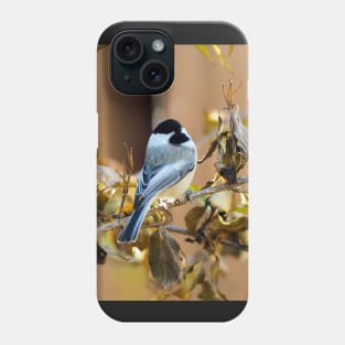 Black-capped Chickadee Perched On A Branch Phone Case