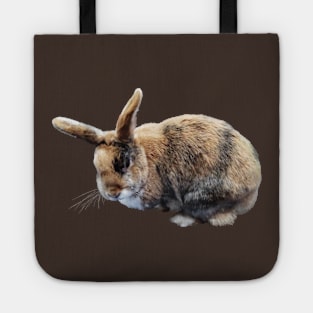 Brown and Tan Rabbit Tote