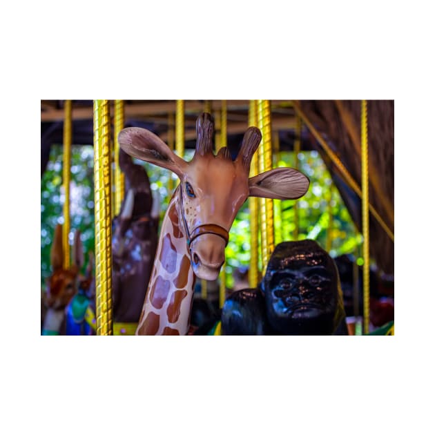 Giraffe Carousel Amusement ride by photogarry