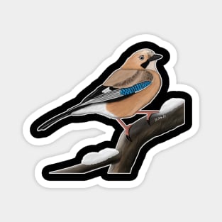 Jay Bird Watching Birding Ornithologist Gift Magnet