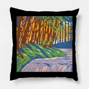 Babbling Brook Pillow