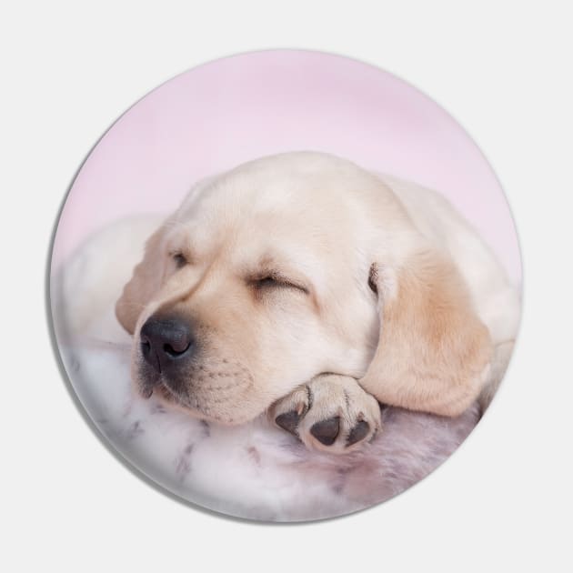 Sleeping labrador Pin by PetsArt