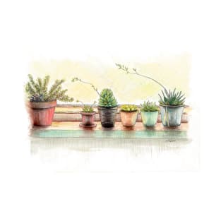 Succulents on a Window Sill T-Shirt