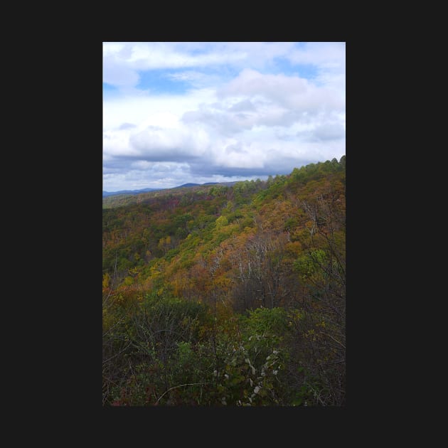 Shenandoah National Park in Fall by Sandraartist