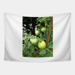 Tomatoes Tree Tapestry