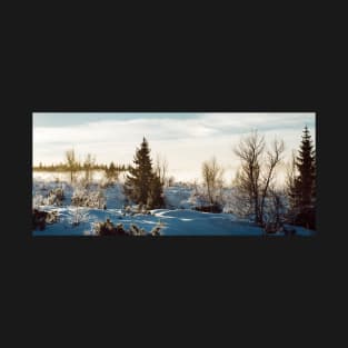 White Scandinavian Winter Landscape With Mysterious Fog on Sunny T-Shirt