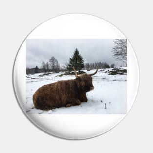 Scottish Highland Cattle Cow 2317 Pin
