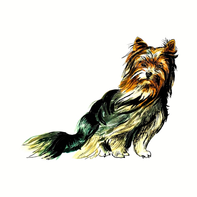 Yorkshire Terrier by VicaVeresk