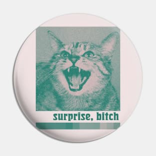 Surprise, Bitch …………….... Pin