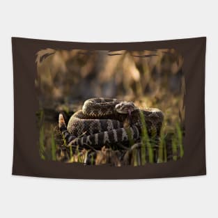 Rattlesnake Ready to Strike Tapestry