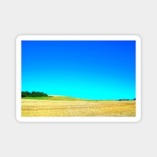 Scenery from Chiaravalle Abbey with cultivated fields Magnet