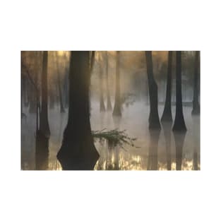 Bald Cypress Grove In Freshwater Swamp At Dawn Lake Fausse Pointe T-Shirt