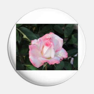 Light Pink Rose Pin