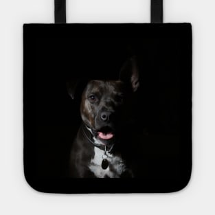 pit bull Tote