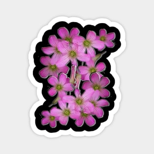 beautiful pink flowers Magnet