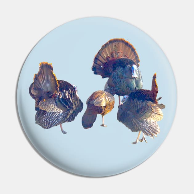 Male Turkeys Displaying Their Foliage to a Lady Pin by Glenn’s Credible Designs