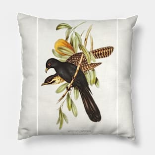 Flinder's Cuckoo Pillow