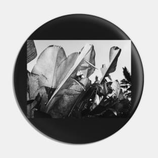 Tropical Palm Leaves in Black and White Pin