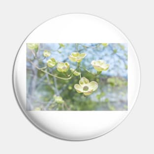 White Flowering Dogwood Blossoms in Springtime Pin