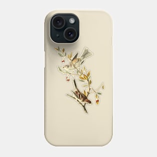 Sparrow Birds Vintage Wildlife Illustration Phone Case