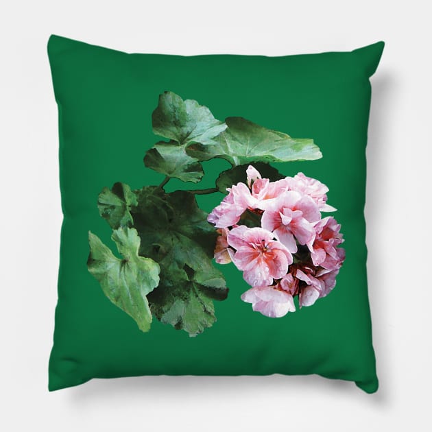 Geraniums - Bright Pink Geranium Pillow by SusanSavad