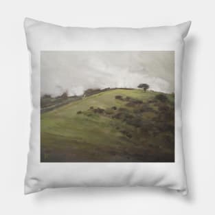 Hill Path Pillow