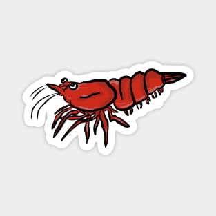 Cherry Shrimp Magnet