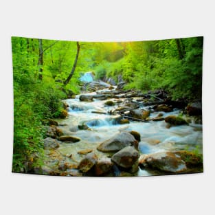 Mystic sun illuminating the Ambro river with gleaming waters Tapestry