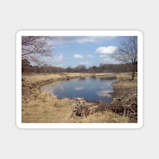 Pond Magnet