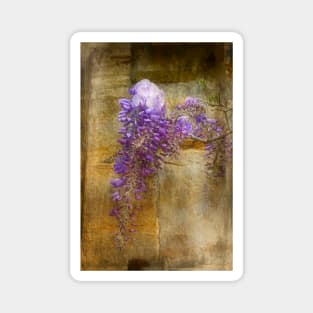 Romantic Wisteria Magnet