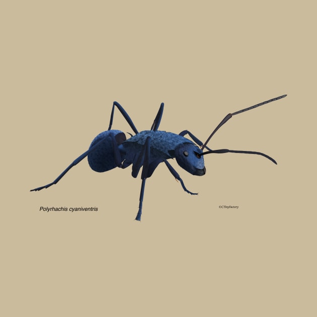 Blue ant by CTinyFactory