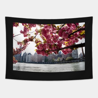 Manhattan Through the Cherry Blossoms. Springtime color photo. Tapestry