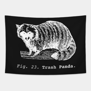 Trash Panda / Science Raccoon / white edition. Tapestry