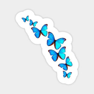 A Kaleidoscope of Butterflies Magnet