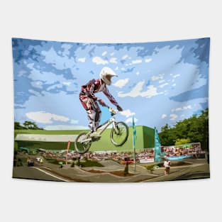 bmx Tapestry