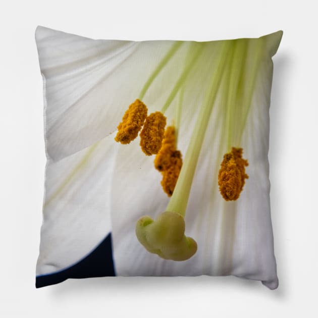 Lily Flower Macro Pillow by InspiraImage