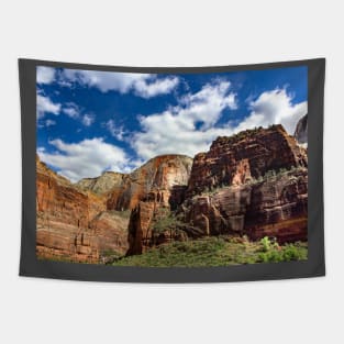 Zion National Park Tapestry