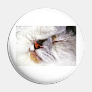 Fur Ball Pin