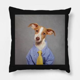 Shelter Pets Project - Vance Pillow