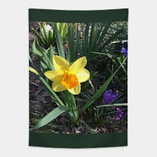 Daffodil With Other Spring Bulbs Tapestry