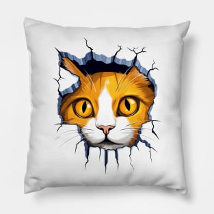 Orange Cat behind a Wall Pillow