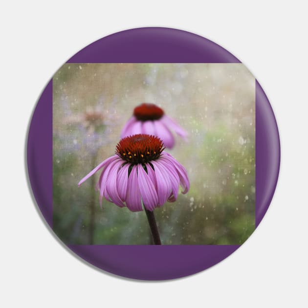 Coneflower Dream Pin by ninasilver