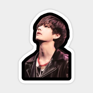 BTS Taehyung V Magnet