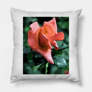 Orange Rose Bud Pillow