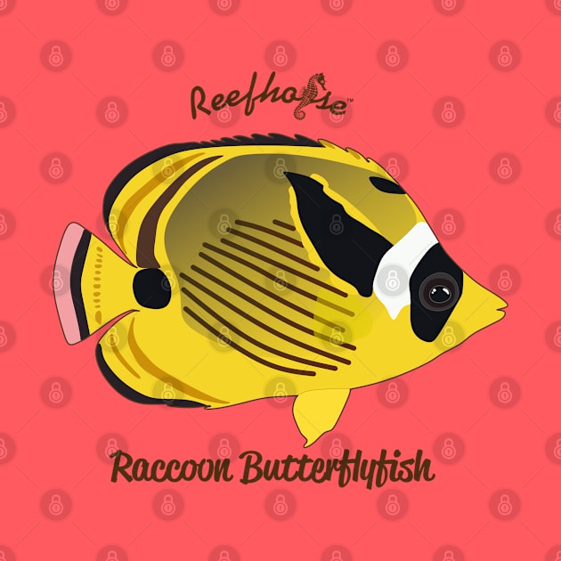 Raccoon Butterflyfish by Reefhorse