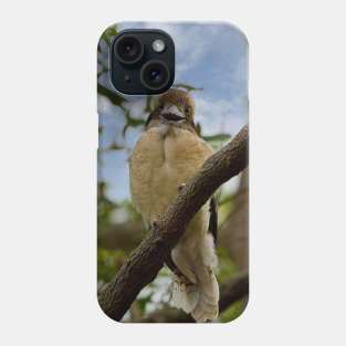 Laughing Kookaburra Phone Case