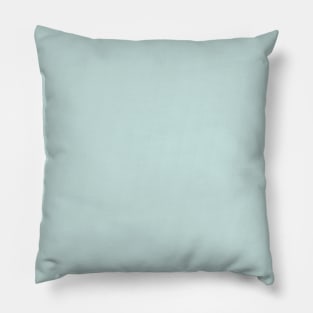 Light Aqua Solid Color Pillow