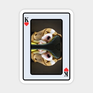 Beagle King Of Hearts Magnet