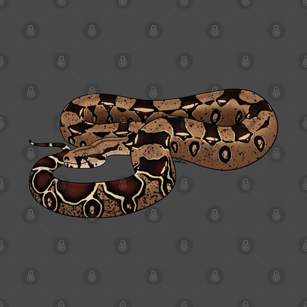 Boa Constrictor Imperator - BCI - Common Boa or Black-tailed Boa by anacecilia